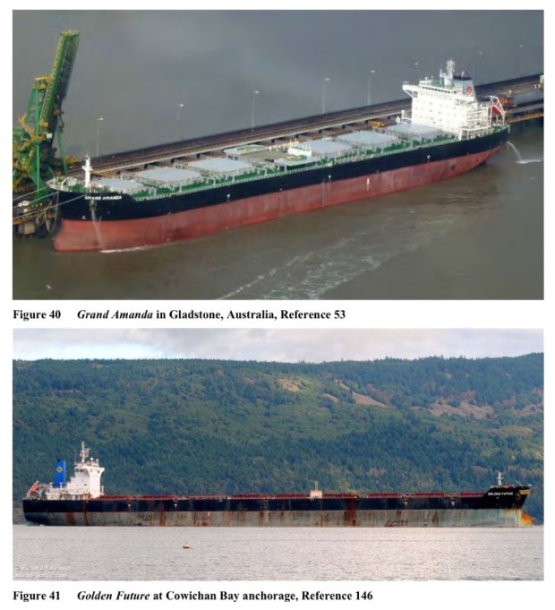 Typical GPT-calling bulkers (Panamax and Capesize). Photo is from the Vessel Traffic and Risk Assessment Study