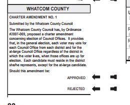 amendment for county wide voting for ballot