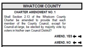 amendment for district only voting for ballot