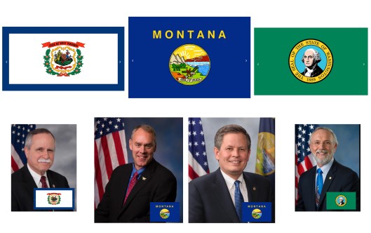 flags and guys mckinley